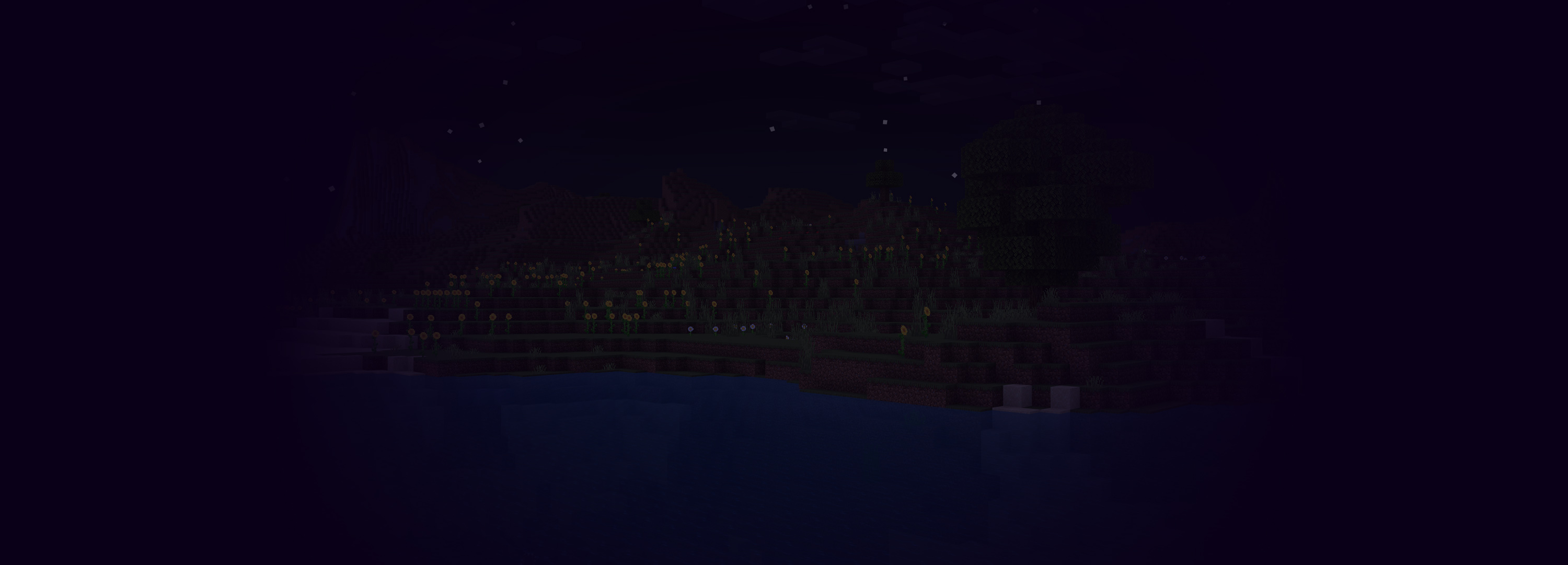 Background image of a Minecraft world.